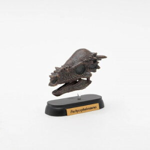 FDW-508 pLPt@TEX XJ ~jf 73508