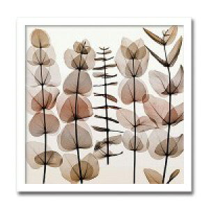 �C���e���A�A�[�g�@X-ray Photograph�@Steven N Meyers(�X�e�B�[�u��N�}�C���[�Y)�@Eucalypti II�@AS-11416