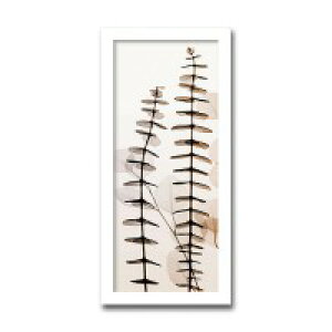 �C���e���A�A�[�g�@X-ray Photograph�@Steven N Meyers(�X�e�B�[�u��N�}�C���[�Y)�@Eucalypti III �@AS-11417