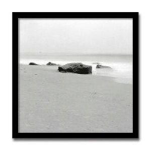 �C���e���A�A�[�g�@X-ray Photograph�@Steven N Meyers(�X�e�B�[�u��N�}�C���[�Y)�@Beach Tones�@AS-11397