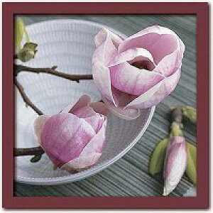 Art Collection�@Catherine�@BEYLER(�L���T�����EBeyler)/Magnolias on a bowl�@PR-1012