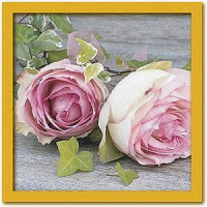 Art Collection�@Catherine�@BEYLER(�L���T�����EBeyler)/Roses�@PR-1022