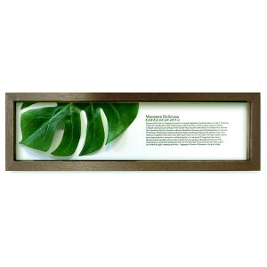 K-Art.Japan �A�[�g�t���[�� Hadiah Hutan �����X�e��2 �u���E�� PZ-3003