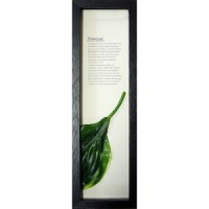 Hadiah�@Hutan�@�z�X�^���[�tI�@(BK)�@PZ-3006
