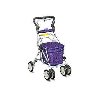 {bAHƁ@XC[gIII@Vo[J[@No.668