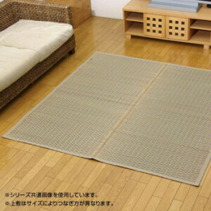 Y ԂJ[ybg O wx x[W ]ˊ6(261×352cm) 4100156