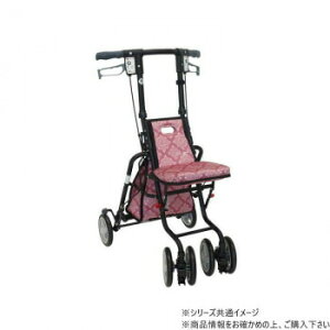 Tj[EH[J[SP  _}XNsN 427293 W0476