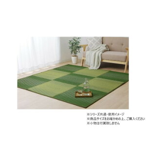 �J�[�y�b�g �������O �_�C�� 240×240cm �O���[�� 1030541123103