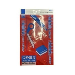 �T���P�[�L�R�� �}�O�l�b�g�V�[�g 10���Z�b�g �₠�� 200×300mm �� MS-04R-10
