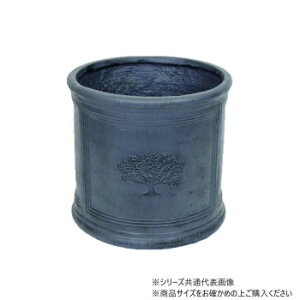 cY Eh|bgtHXg 10 BritishGray 3716