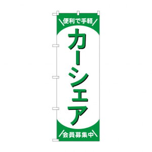 ̂ڂ J[VFAW GNB-4527