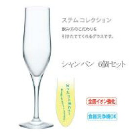 L6660　石塚硝子　通のグラス・ステムコレクション　シャンパン　6個セット