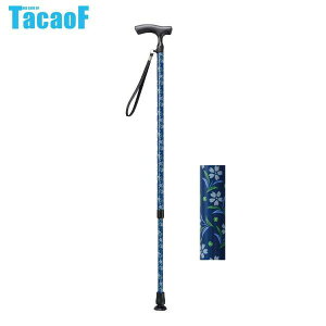 Ka쏊 eCRu(TacaoF) LkJ[{XebL CAE01 u[