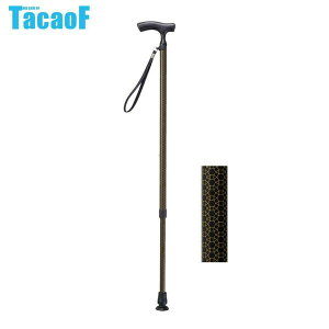 Ka쏊 eCRu(TacaoF) LkJ[{XebL CAE01 ubN