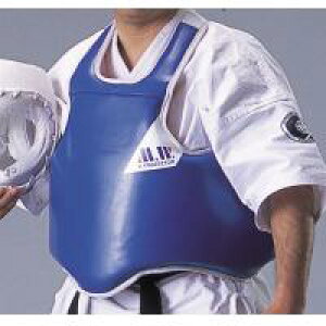 BPKP-JR-BURD@}[V[h@K-{fB[veN^[@WjA@Ԑ