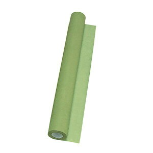 �t�����[���[�� 60cm×30m 50 71900