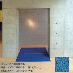 �C���h�A�}�b�g�@�u���C�g�}�b�gII�@18���@90×180cm�@���炢��