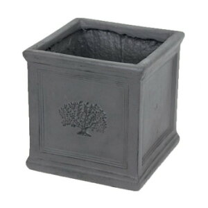 MURATAYA XNGA|bgtHXg7 BritishGray 3742