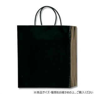 シモジマ HEIKO(ヘイコー) 003136200 PBスムースバッグ M-1 黒 10枚
