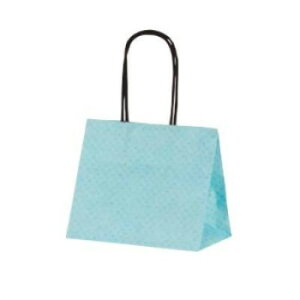 ハンディーバッグ テミニン手提袋 ベビーブルー 1469 10枚