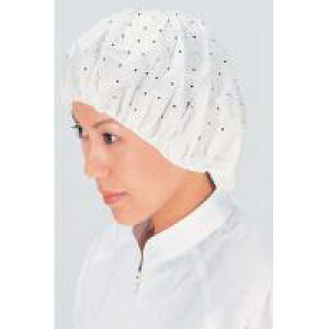 SF905�@Accessories�@�����X�q�@�j�����p�@�������^�C�v�@100����