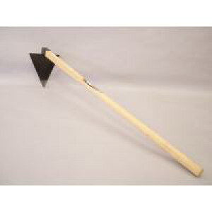 71118@ہ@Opzbp[@1050@t