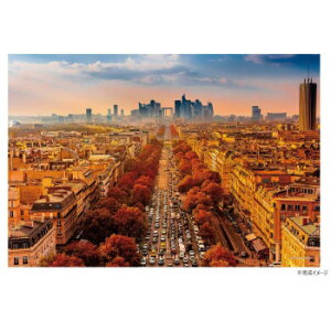 WO\[pY 1000RpNgs[X COi V[[ʂƃp](tX) 13-16