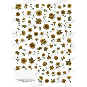 TSUMEKIRA(cL) lCV[ AeB[NЂ܂ NN-HMW-301