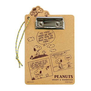 Xk[s[ EbhoC_[(Xk[s[EbhXgbN) SN1000W