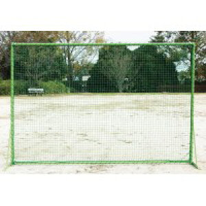 ԉHHƁ@htFX(Ԗ)@2×3m@B-733