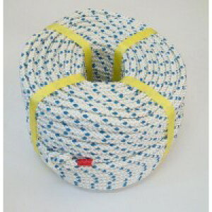 ԉHHƁ@_b`[vȂ@100m@F-2704