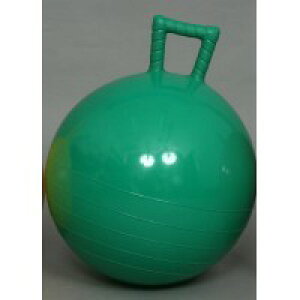 ԉHHƁ@Wv{[@S500()@760g@F-2025