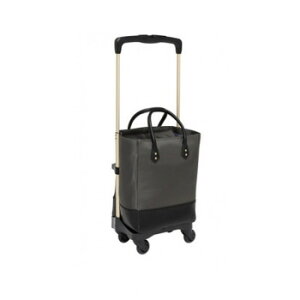 Ka쏊@eCRu(TacaoF)ƂȂJ[g {bNX^Cv@ubNEWCC03-BK