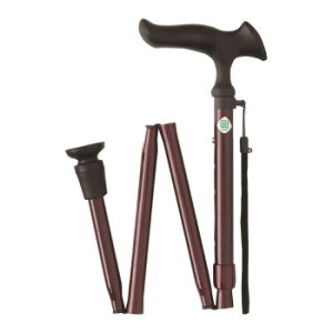 tWz[@XebL@@邪E@܏S@ch@ WB3741