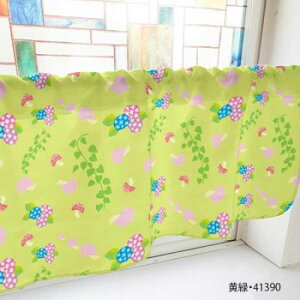 JtFJ[e J^c AWTC c^ 800×450mm@΁E41390