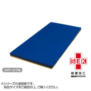 BXRt[g@ᔽGA[}bgX(83cm)83×191×8cm@lCr[×x[WJo[@VT853