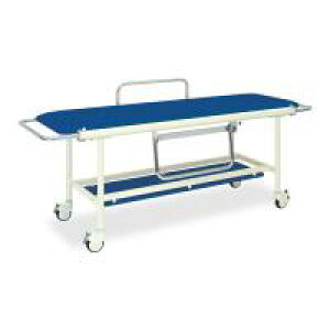 TB-623@Xgb`[100@60×200(V[g180)×80cm