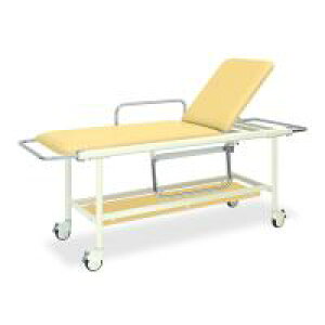 TB-624@GSXgb`[100@60×200(V[g180)×80cm