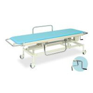 TB-625@蓮Xgb`[100@60×200(V[g180)×48`86cm