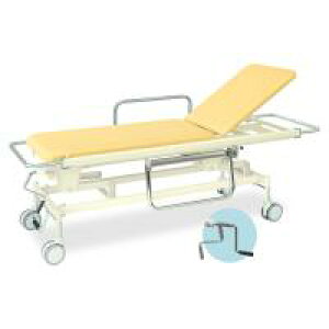 TB-628@蓮GSXgb`[125@60×200(V[g180)×48`86cm