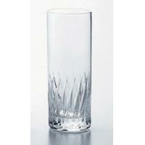 10]r[OX6Zbg@T-20101HS-2