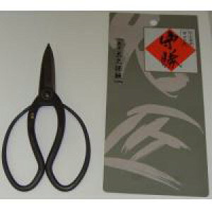 110021@珟@#242@nv@200mm