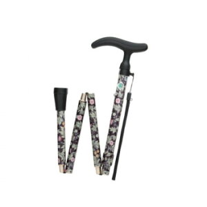 tWz[@XebL@@ANeBuO[X܏S@ubN WB3759