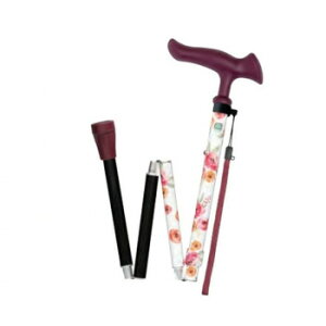 tWz[@XebL@@邪t@II܏@ԕzCg WB5223