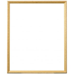 ラーソン・ジュール シャルムG A3 アクリル DB55165