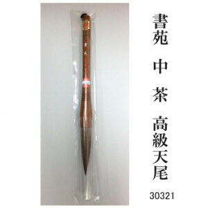 30321 書苑 中 茶 高級天尾 条幅 カタメ