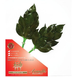 AK {vU[uh v~A OgY֗tgp ~jSTCY C-002MS