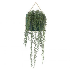 sfՁ@iC/D:41127j tFCNO[ O[lbNX nMO