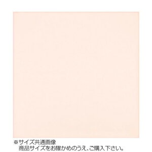 �g���V�[ �J���[�N���X 30×30cm A3030-YOO G-37 �R�[�����s���N