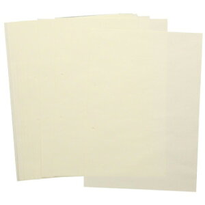 A[ebN A4y[p[PiNbL[p2100 003451